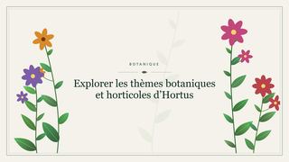 Visuel botanique stylisé : Explorer les thèmes botaniques et horticoles d’Hortus