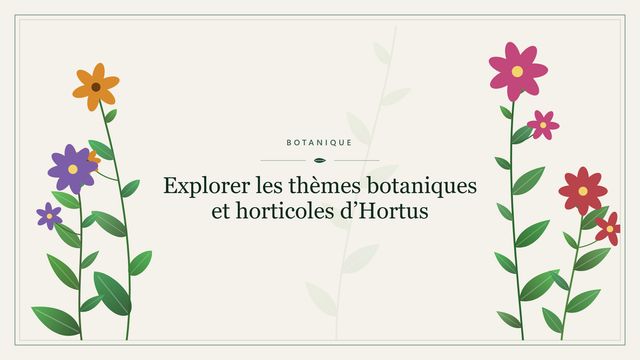 Explorer les thèmes botaniques et horticoles d'Hortus Visuel botanique stylisé : Explorer les thèmes botaniques et horticoles d’Hortus