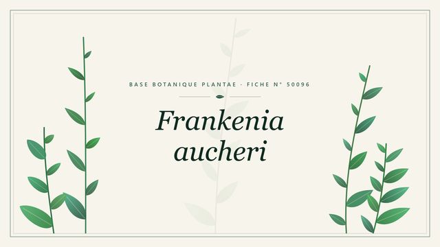 Frankenia aucheri : fiche descriptive et taxonomie Planche botanique stylisée de Frankenia aucheri