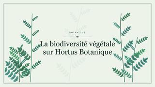 Visuel botanique stylisé : La biodiversité végétale sur Hortus Botanique