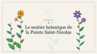 Visuel botanique stylisé : Le sentier botanique de la Pointe Saint-Nicolas