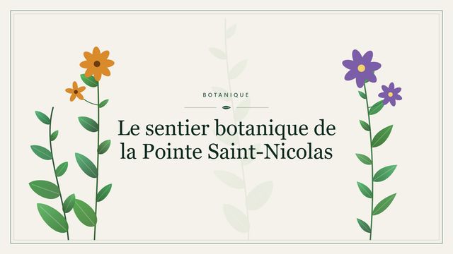 Le sentier botanique de la Pointe Saint-Nicolas Visuel botanique stylisé : Le sentier botanique de la Pointe Saint-Nicolas
