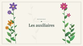 Visuel botanique stylisé : Les auxiliaires