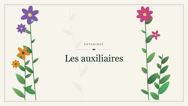 Les auxiliaires : comment s'y retrouver Visuel botanique stylisé : Les auxiliaires