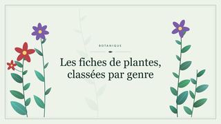 Visuel botanique stylisé : Les fiches de plantes, classées par genre