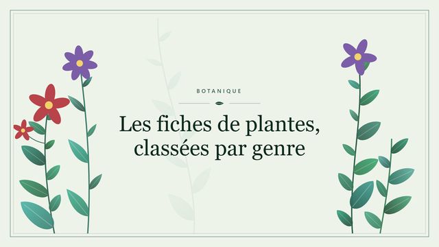 Les fiches de plantes, classees par genre Visuel botanique stylisé : Les fiches de plantes, classées par genre