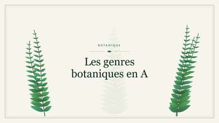 Visuel botanique stylisé : Les genres botaniques en A