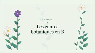 Visuel botanique stylisé : Les genres botaniques en B