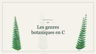 Visuel botanique stylisé : Les genres botaniques en C