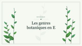 Visuel botanique stylisé : Les genres botaniques en E