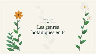 Visuel botanique stylisé : Les genres botaniques en F