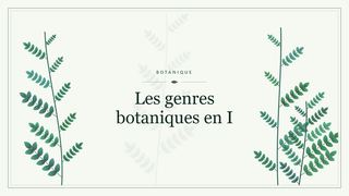 Visuel botanique stylisé : Les genres botaniques en I