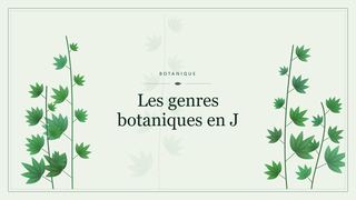 Visuel botanique stylisé : Les genres botaniques en J