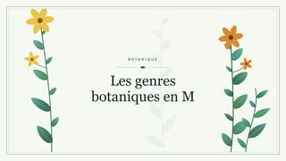 Visuel botanique stylisé : Les genres botaniques en M