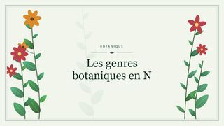 Visuel botanique stylisé : Les genres botaniques en N