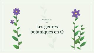 Visuel botanique stylisé : Les genres botaniques en Q