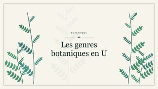 Visuel botanique stylisé : Les genres botaniques en U