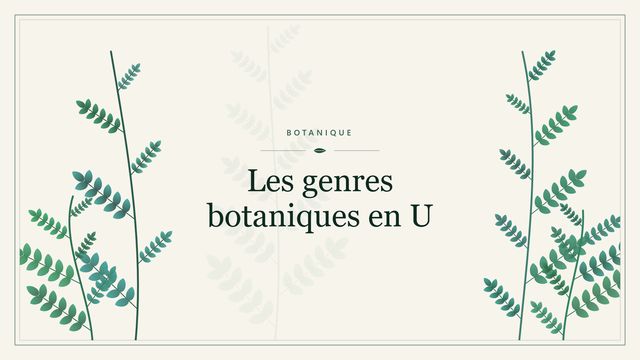 Les genres botaniques en U Visuel botanique stylisé : Les genres botaniques en U