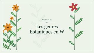 Visuel botanique stylisé : Les genres botaniques en W