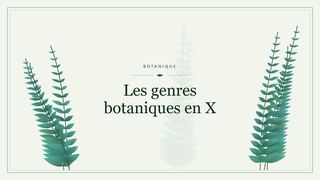 Visuel botanique stylisé : Les genres botaniques en X