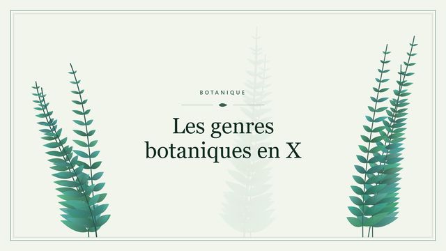 Les genres botaniques en X Visuel botanique stylisé : Les genres botaniques en X