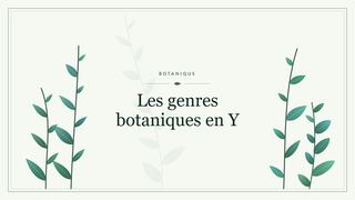 Visuel botanique stylisé : Les genres botaniques en Y