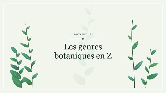 Les genres botaniques en Z Visuel botanique stylisé : Les genres botaniques en Z
