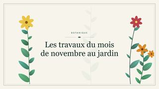 Visuel botanique stylisé : Les travaux du mois de novembre au jardin