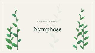 Illustration botanique stylisée du terme « Nymphose » du glossaire