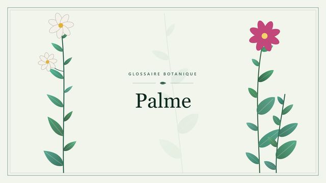 Définition de « palme » en botanique Illustration botanique stylisée du terme « Palme » du glossaire