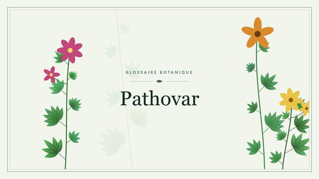 Pathovar : tout comprendre de cette notion Illustration botanique stylisée du terme « Pathovar » du glossaire