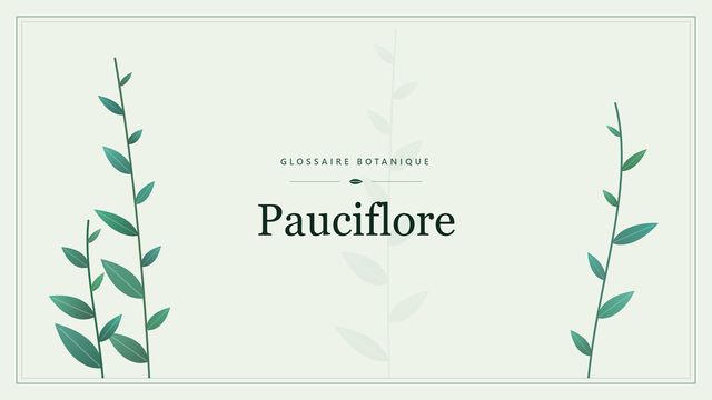 Pauciflore : décryptage Illustration botanique stylisée du terme « Pauciflore » du glossaire