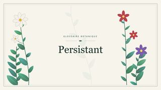 Illustration botanique stylisée du terme « Persistant » du glossaire