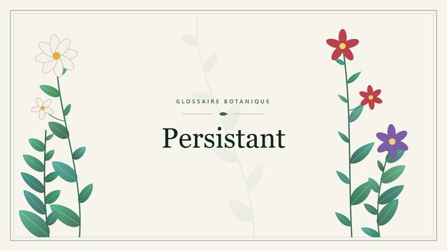 Persistant : tout comprendre Illustration botanique stylisée du terme « Persistant » du glossaire