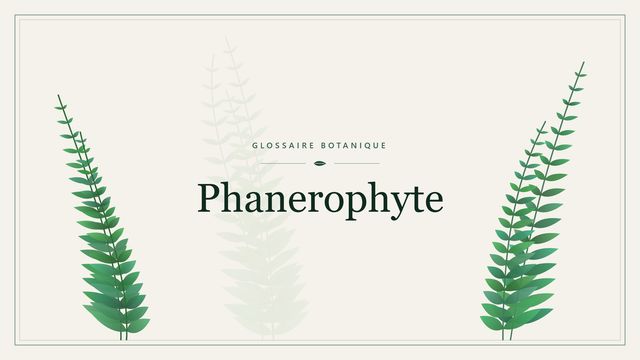 Définition de « phanérophyte » en botanique Illustration botanique stylisée du terme « Phanerophyte » du glossaire