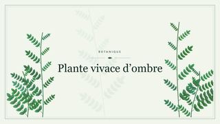Visuel botanique stylisé : Plante vivace d’ombre