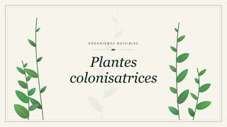Planche botanique stylisée de Plantes colonisatrices