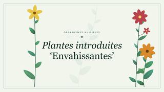 Planche botanique stylisée de Plantes introduites ‘Envahissantes’