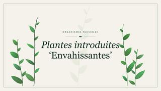Planche botanique stylisée de Plantes introduites ‘Envahissantes’