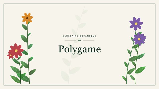 Définition de « polygame » en botanique Illustration botanique stylisée du terme « Polygame » du glossaire