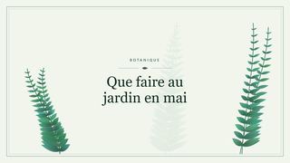 Visuel botanique stylisé : Que faire au jardin en mai