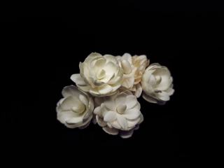 Jasminum beesianum : définition et fiche botanique