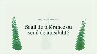 Illustration botanique stylisée du terme « Seuil de tolérance ou seuil de nuisibilité » du glossaire
