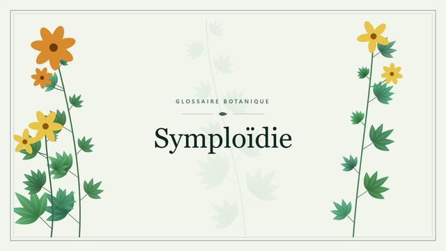 Symploïdie : les bases Illustration botanique stylisée du terme « Symploïdie » du glossaire