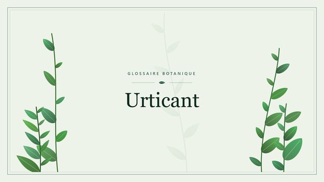 Urticant : notre analyse Illustration botanique stylisée du terme « Urticant » du glossaire