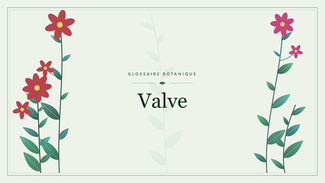 Valve : guide complet Illustration botanique stylisée du terme « Valve » du glossaire