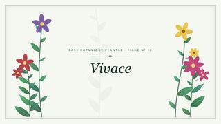 Planche botanique stylisée de Vivace